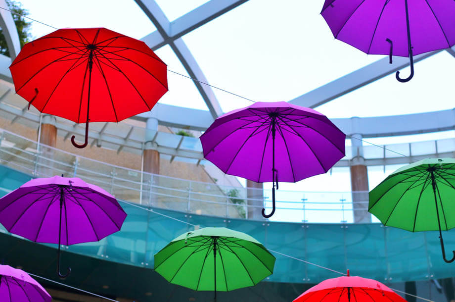 Colorful umbrellas hanging photo | Allenbrook Umbrella Insurance